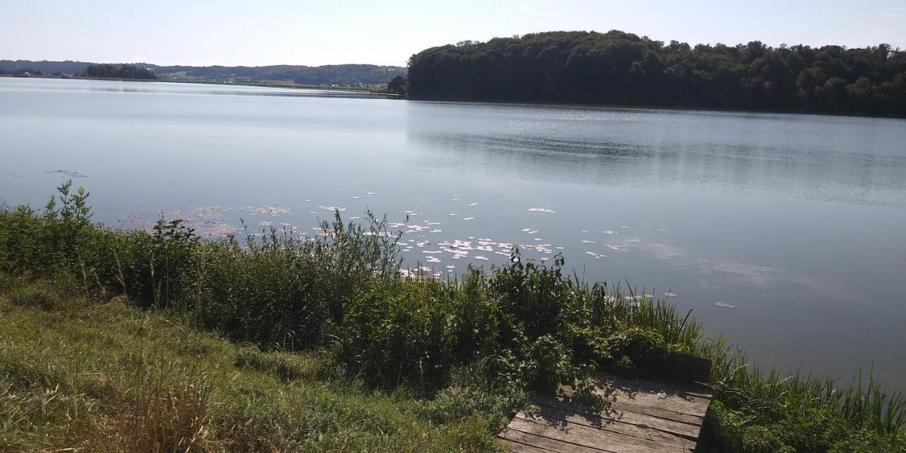 Apartmán Apartma Mbm Križevci pri Ljutomeru Exteriér fotografie