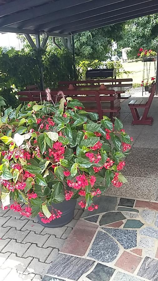 Apartmán Apartma Mbm Križevci pri Ljutomeru Exteriér fotografie